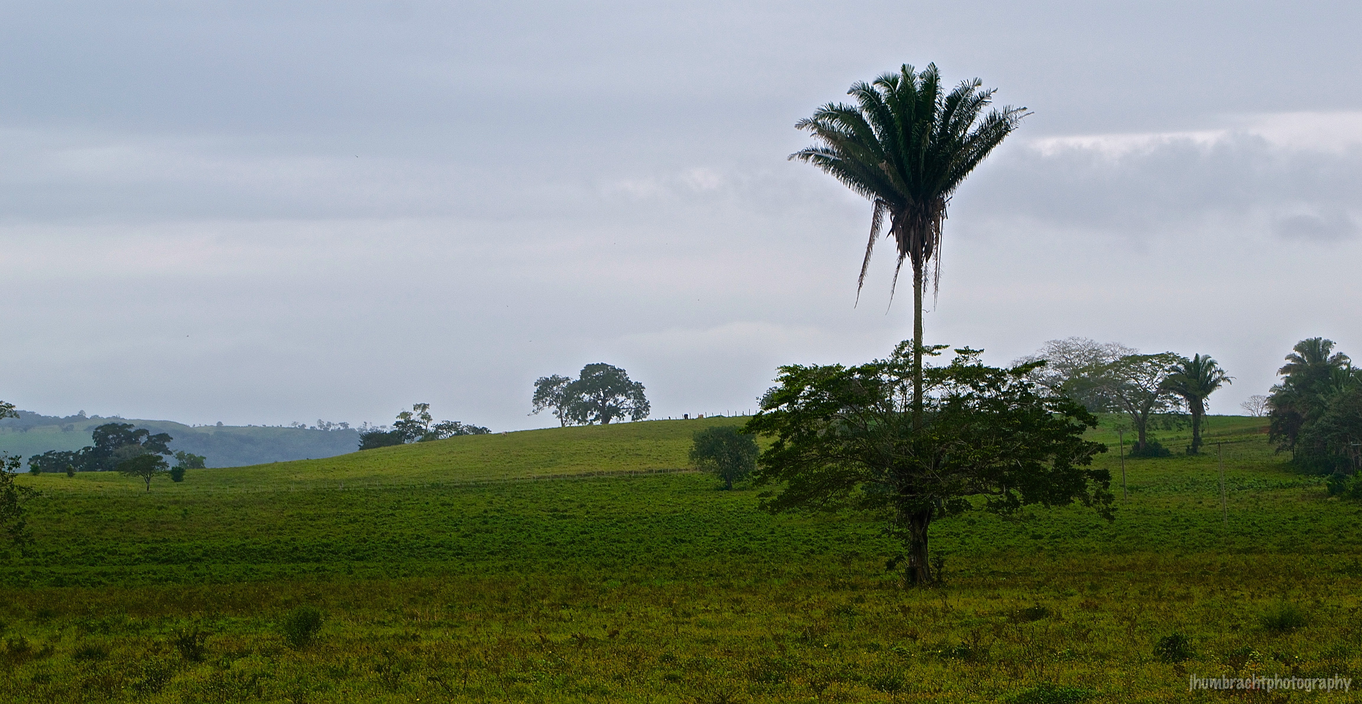 Belize Countryside | Cayo District, Belize | image By Indianapolis-based Architectural Photographer Jason Humbracht 